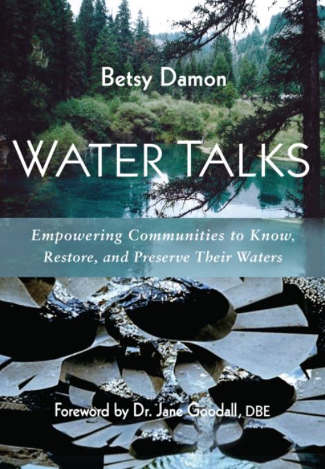 Book cover of Betsy Damon's book, Water Talks, featuring a photograph of water flowing through a Flow Form.